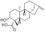 ent-3β-Hydroxykaur-16-en-19-oic acid